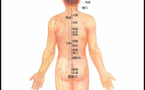 命門穴的位置
