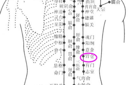 胃倉穴的位置